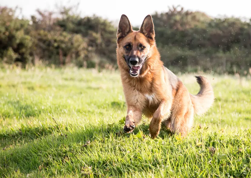 Featured event image